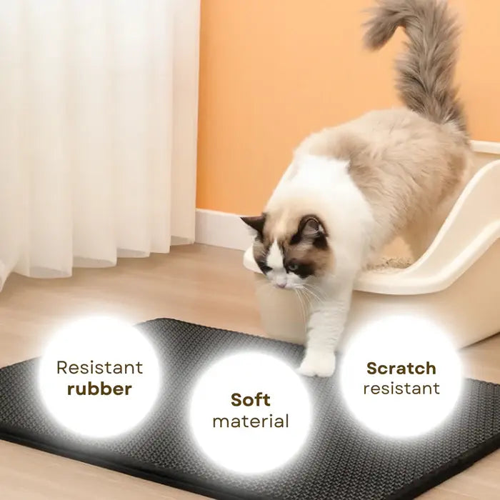Cat Litter Mat